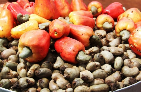 Offre spéciale Anacarde